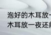泡好的木耳放一夜还可以吃吗 泡好的木耳放一夜还能不能吃