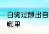 白驹过隙出自哪里 词语白驹过隙出自哪里