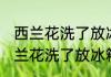 西兰花洗了放冰箱一夜还可以吃吗 西兰花洗了放冰箱一夜还能吃吗