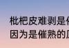 枇杷皮难剥是催熟吗 枇杷皮难剥是否因为是催熟的原因