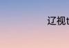 辽视tv直播app