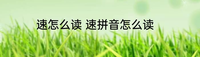 速怎么读 速拼音怎么读