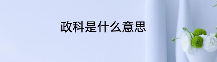 政科是什么意思