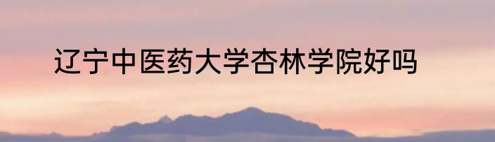 辽宁中医药大学杏林学院好吗