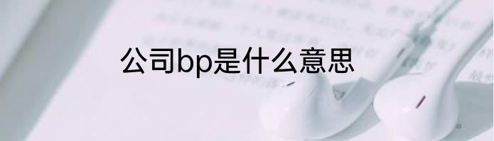 公司bp是什么意思