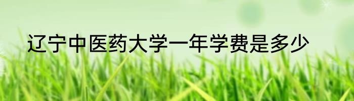 辽宁中医药大学一年学费是多少