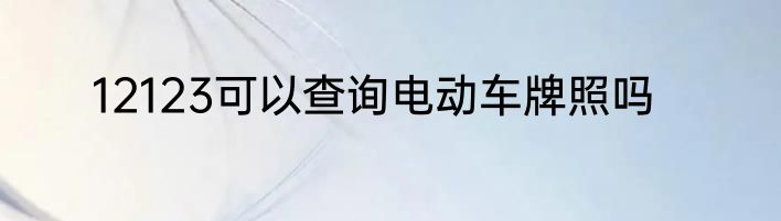 12123可以查询电动车牌照吗