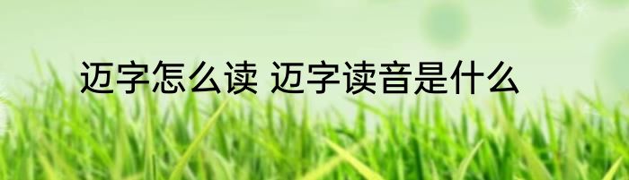 迈字怎么读 迈字读音是什么