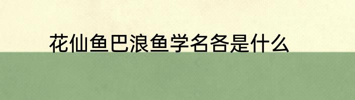 花仙鱼巴浪鱼学名各是什么