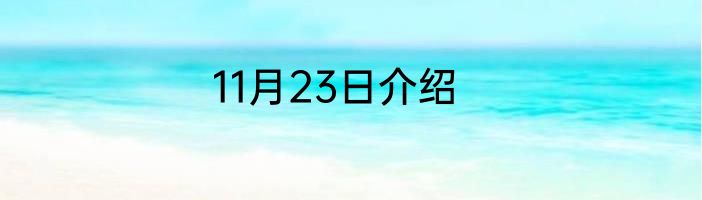 11月23日介绍