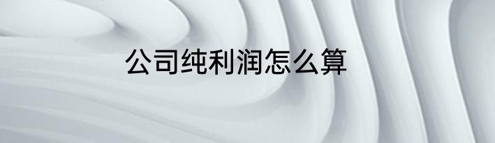公司纯利润怎么算