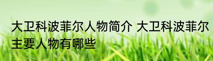 大卫科波菲尔人物简介 大卫科波菲尔主要人物有哪些