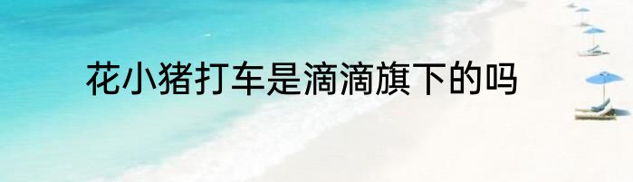 花小猪打车是滴滴旗下的吗