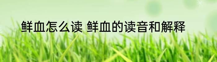 鲜血怎么读 鲜血的读音和解释
