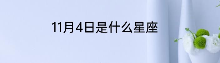 11月4日是什么星座