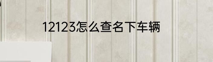 12123怎么查名下车辆