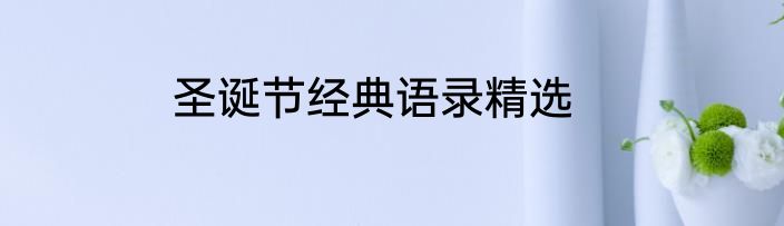 圣诞节经典语录精选