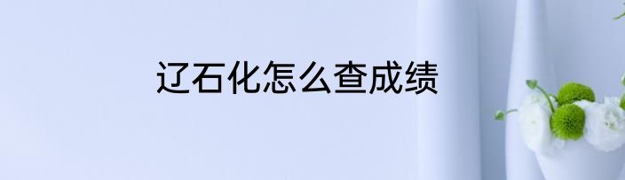 辽石化怎么查成绩