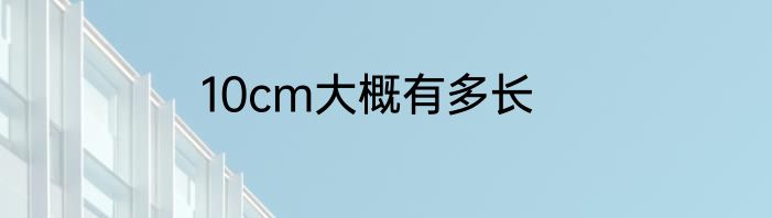 10cm大概有多长