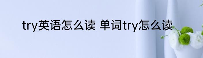 try英语怎么读 单词try怎么读