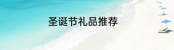 圣诞节礼品推荐