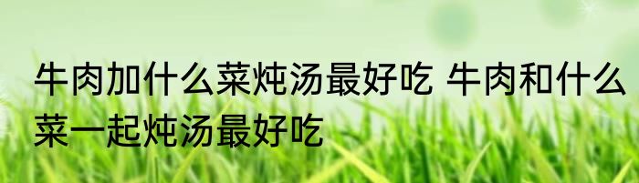 牛肉加什么菜炖汤最好吃 牛肉和什么菜一起炖汤最好吃