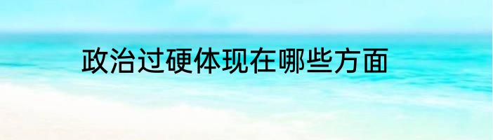政治过硬体现在哪些方面