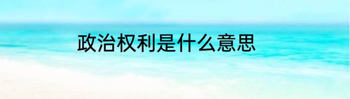 政治权利是什么意思