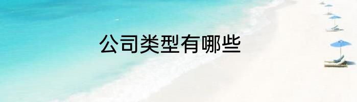 公司类型有哪些
