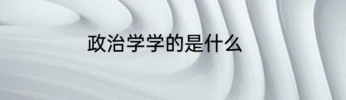 政治学学的是什么