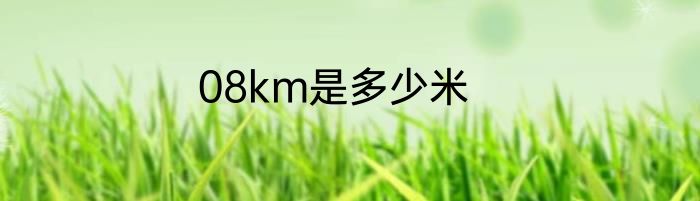 08km是多少米