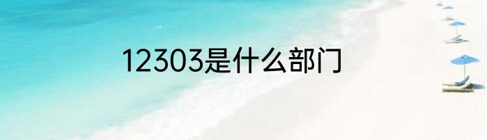 12303是什么部门
