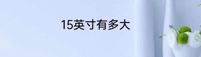 15英寸有多大
