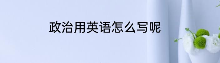 政治用英语怎么写呢