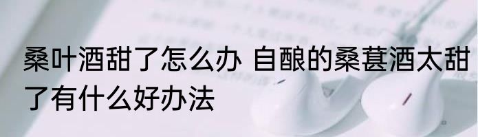 桑叶酒甜了怎么办 自酿的桑葚酒太甜了有什么好办法