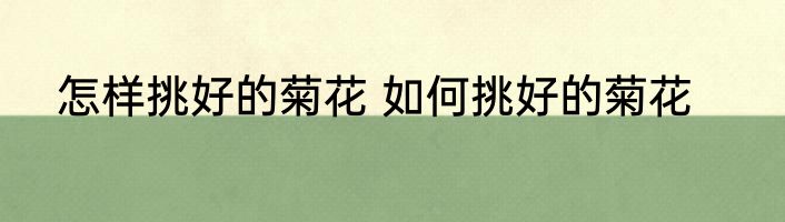 怎样挑好的菊花 如何挑好的菊花