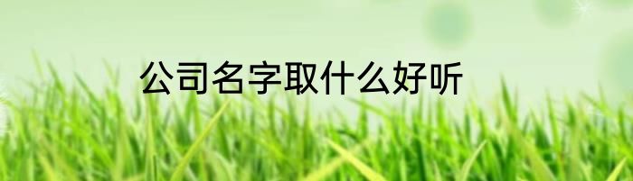 公司名字取什么好听