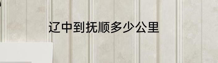 辽中到抚顺多少公里