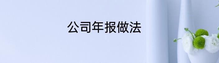 公司年报做法