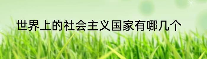 世界上的社会主义国家有哪几个