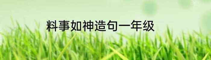 料事如神造句一年级