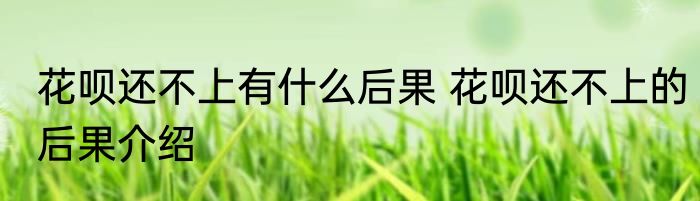 花呗还不上有什么后果 花呗还不上的后果介绍