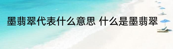 墨翡翠代表什么意思 什么是墨翡翠