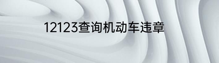 12123查询机动车违章