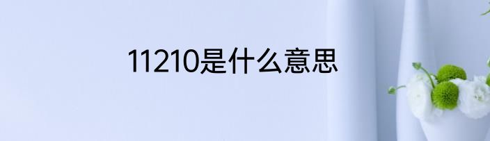 11210是什么意思