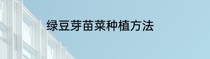绿豆芽苗菜种植方法