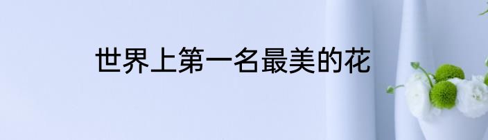 世界上第一名最美的花