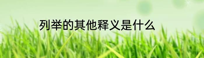列举的其他释义是什么