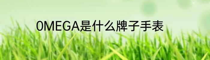 0MEGA是什么牌子手表