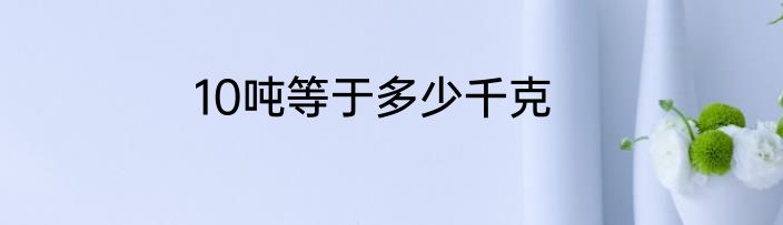 10吨等于多少千克